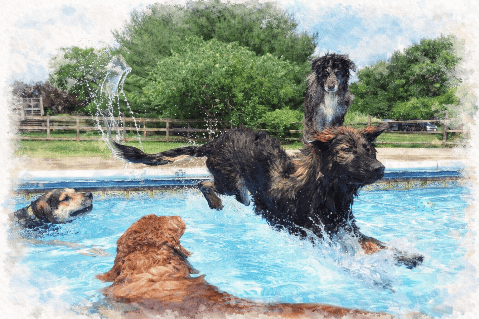 Brady's pool